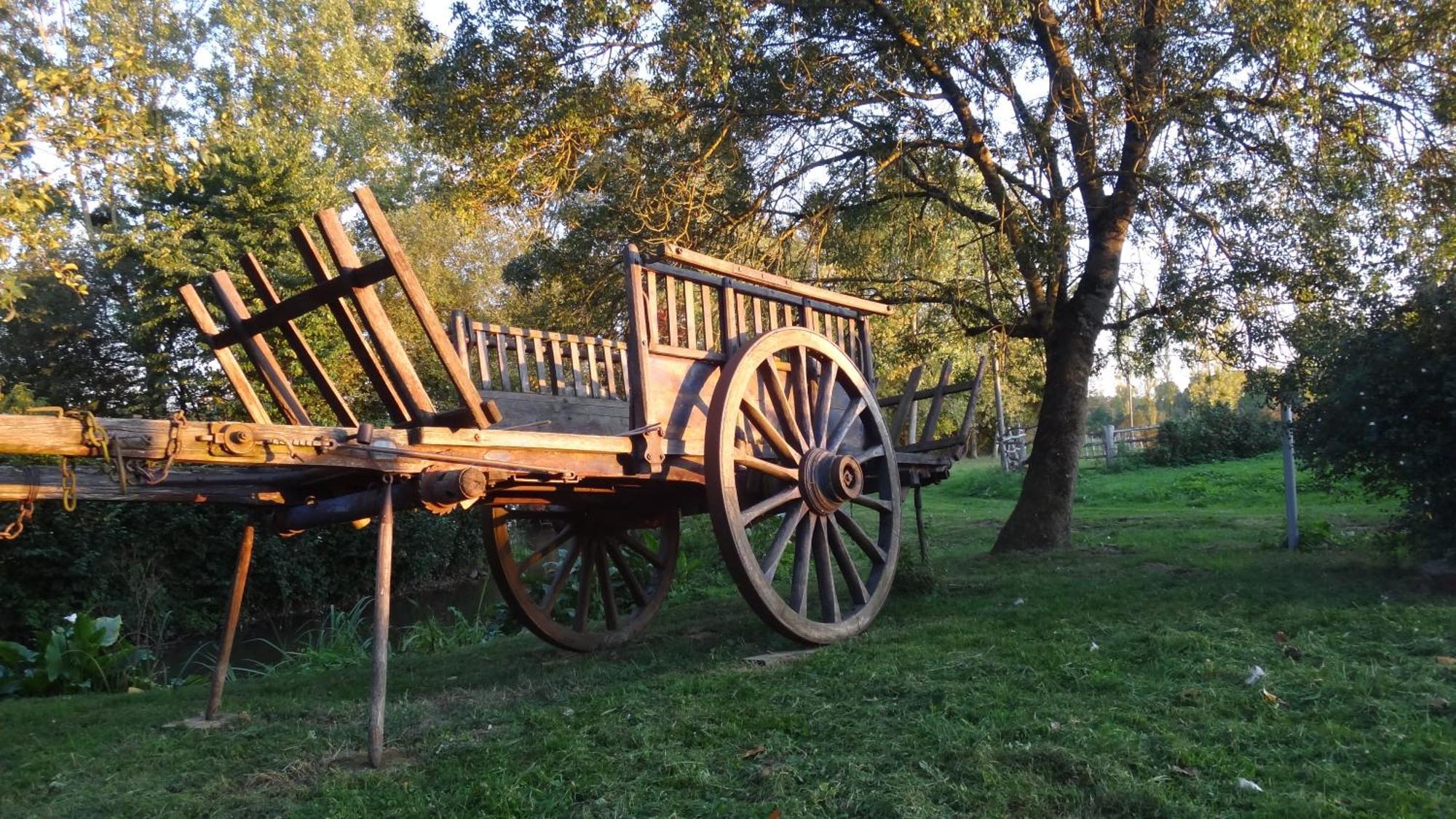 Linières-Bouton Le Moulin Bregeon Bed & Breakfast エクステリア 写真